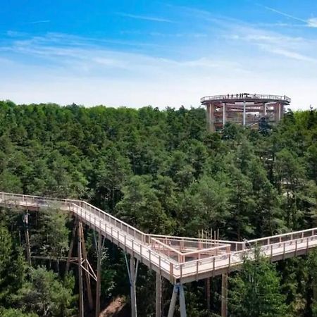 Gite Au Coin Du Chene Lembach Bagian luar foto